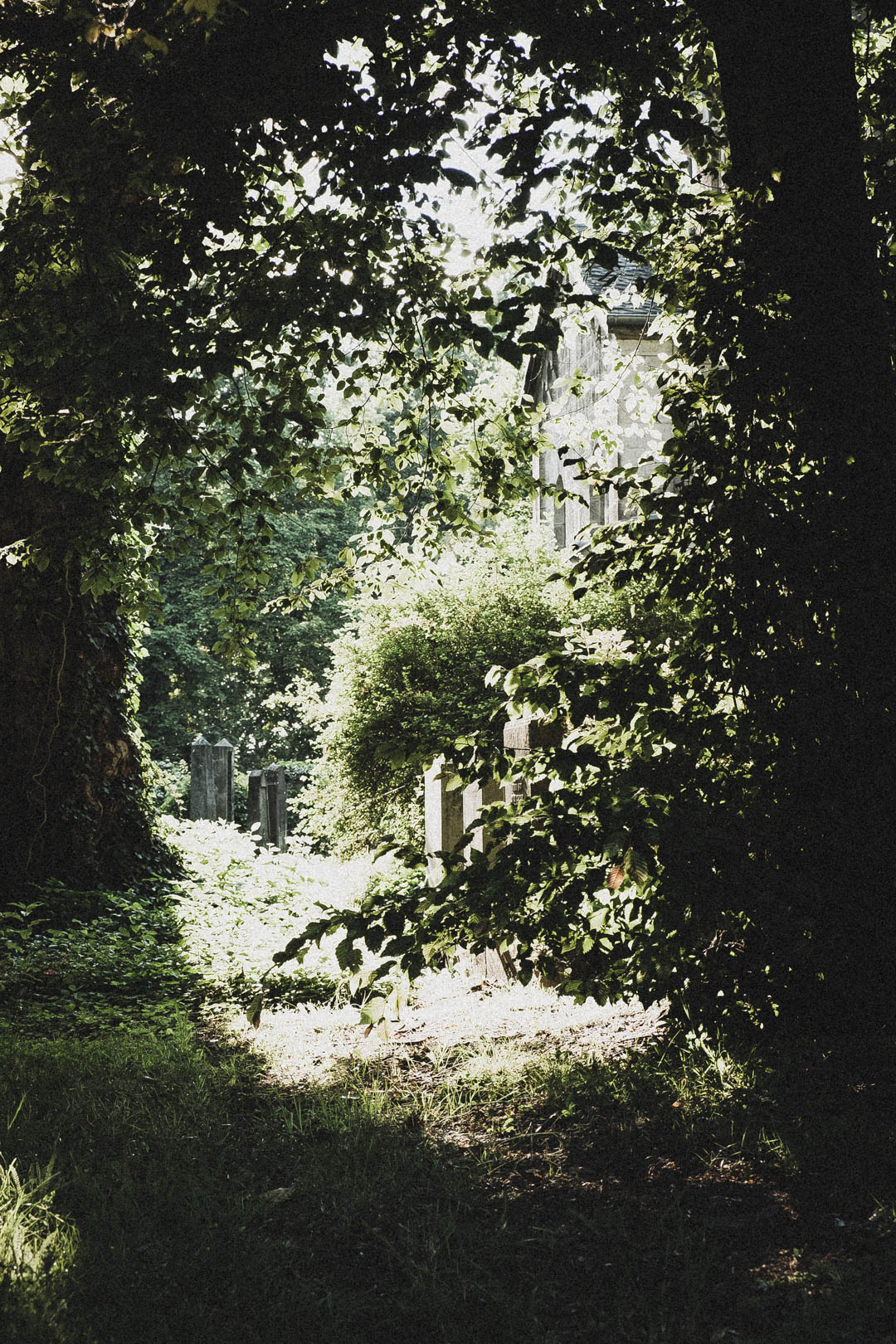 Jüdischer Friedhof Kassel-Bettenhausen